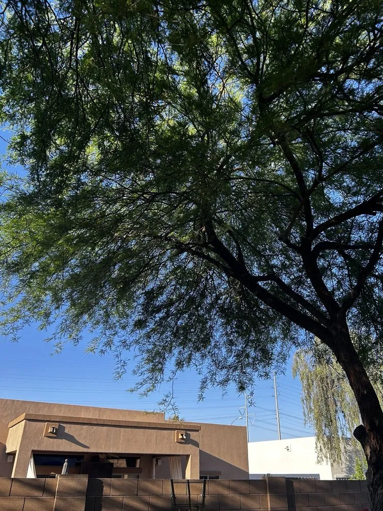 Top-rated residential landscaping for residential properties in Mesa, AZ by God's Garden Landscaping