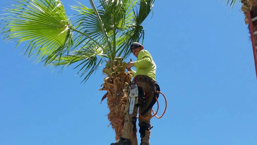 Local garden landscaping in Mesa, AZ by God's Garden Landscaping