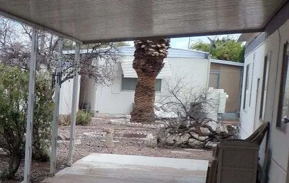 Top-rated yard cleanup service for outdoor upgrades across Mesa, AZ - God's Garden Landscaping