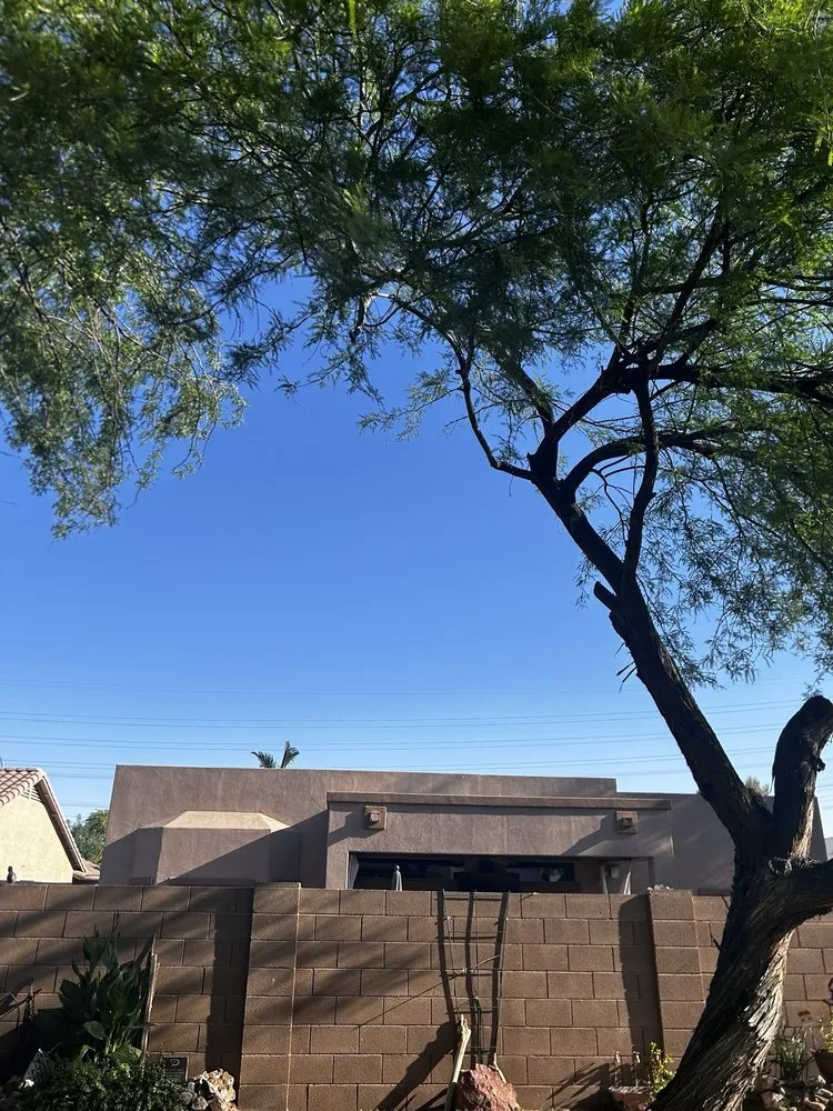 Affordable landscape installation in Mesa, AZ - God's Garden Landscaping