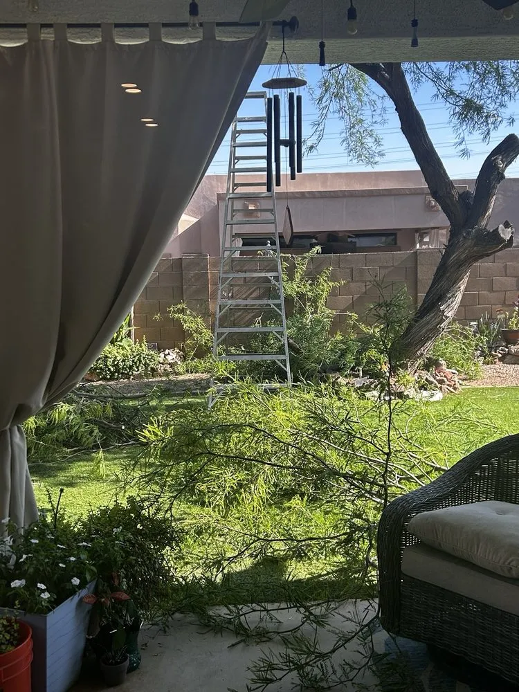 Professional lawn care service for beautiful yards in Mesa, AZ by God's Garden Landscaping