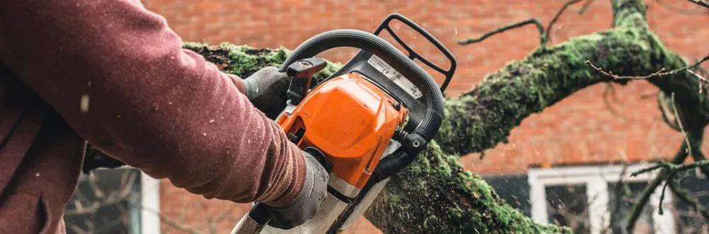 Local lawn care service in Mesa, AZ by God's Garden Landscaping