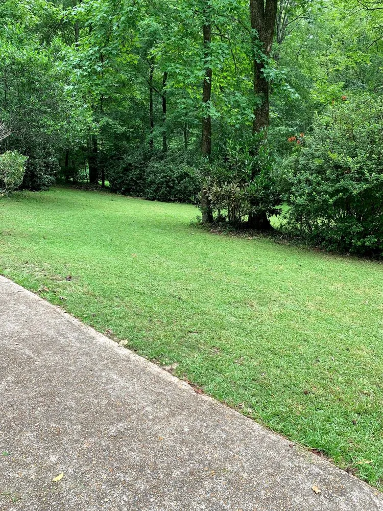 Professional outdoor landscaping for outdoor upgrades across Jackson, MS - God’s Gifted Professional Lawn Care