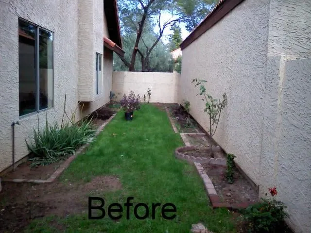 Reliable yard cleanup service experts serving Mesa, AZ - God's Green Earth