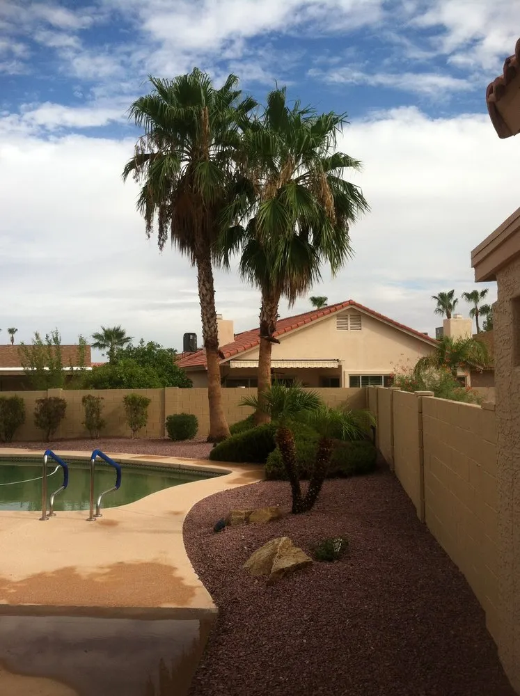 Reliable landscape design in Mesa, AZ by God's Green Earth