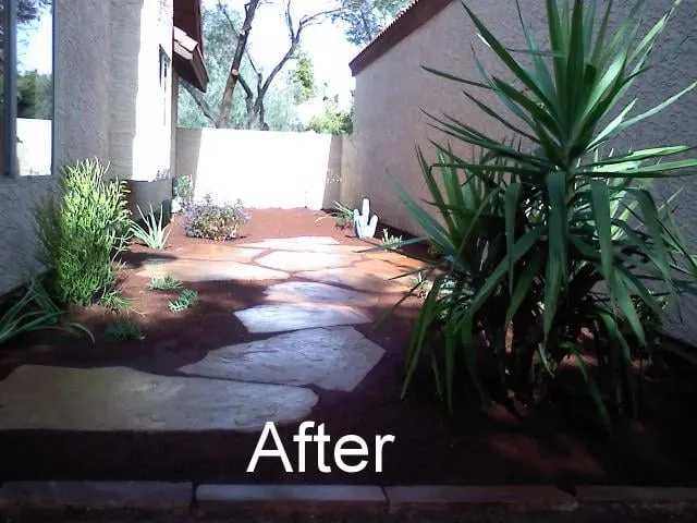 Professional lawn care service in Mesa, AZ - God's Green Earth