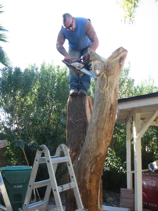 Custom landscape design in Mesa, AZ by God's Green Earth