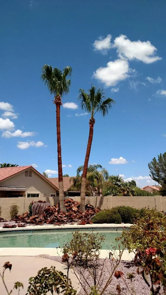 Affordable landscape installation in Mesa, AZ - God's Green Earth