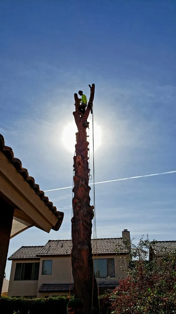 Top-rated landscape design in Mesa, AZ by God's Green Earth