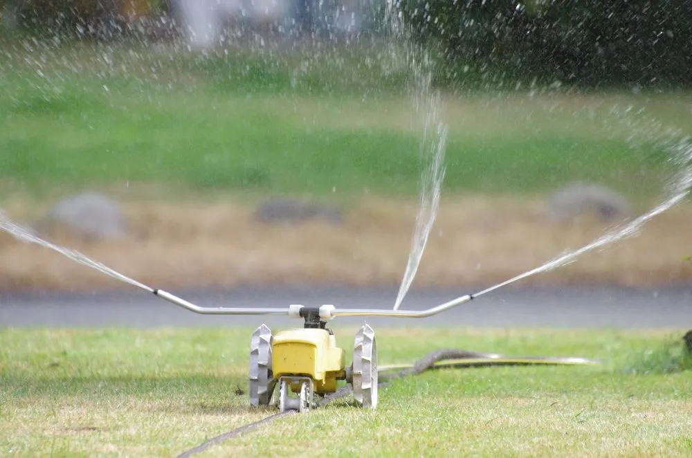 Affordable outdoor landscaping experts serving Tacoma, WA - God's Green Earth