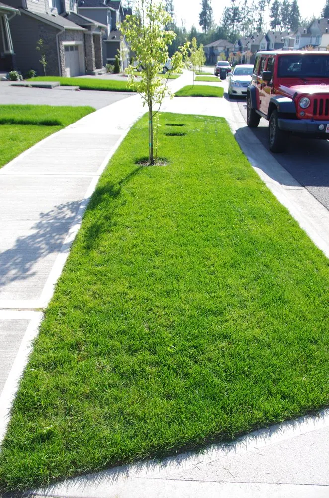 Professional residential landscaping for year-round maintenance in Tacoma, WA by God's Green Earth