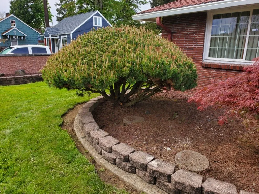 Custom garden landscaping in Tacoma, WA by God's Green Earth