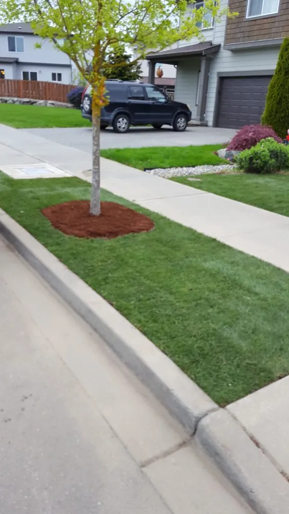 Professional yard cleanup service for beautiful yards across Tacoma, WA - God's Green Earth