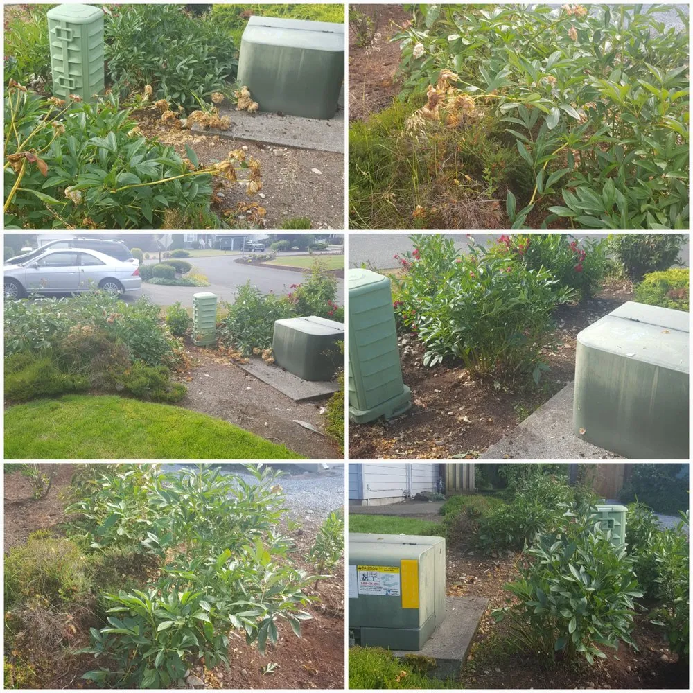 Local lawn mowing service experts serving Tacoma, WA - God's Green Earth