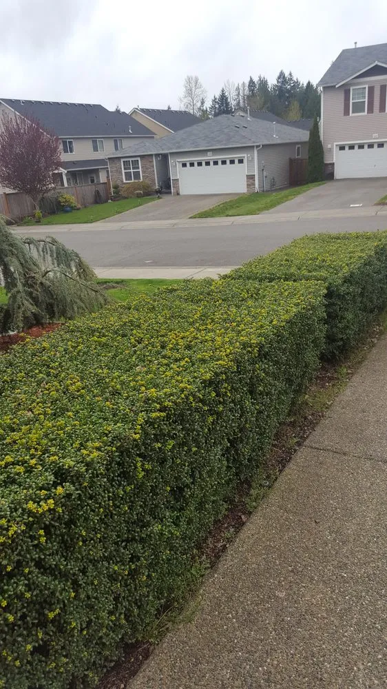 Expert garden landscaping in Tacoma, WA - God's Green Earth