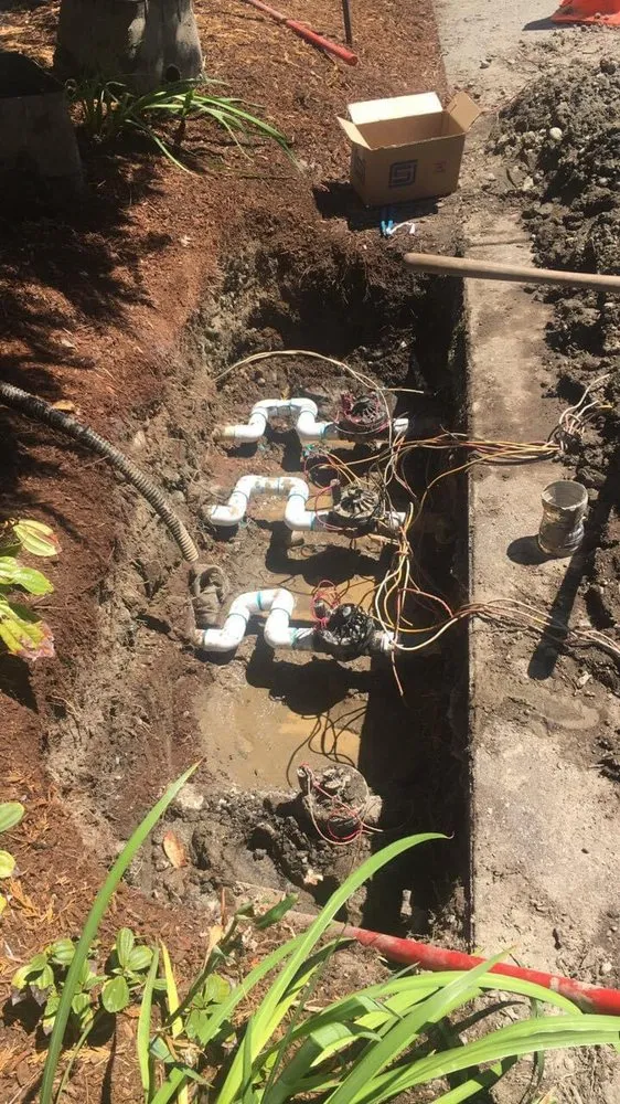 Local landscape design for residential properties in Tacoma, WA by God's Green Earth