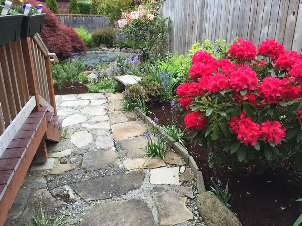 Custom lawn mowing service experts serving Tacoma, WA - God's Green Earth