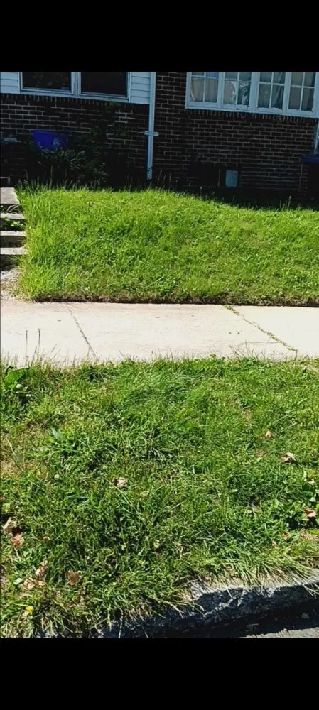 Professional lawn care service in Harrisburg, PA by God's Hair Landscaping