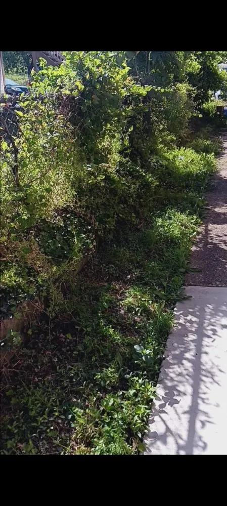 Trusted landscaping services in Harrisburg, PA by God's Hair Landscaping