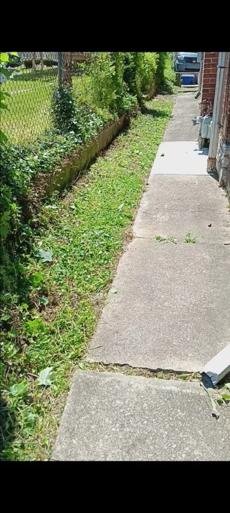 Professional landscaping services in Harrisburg, PA by God's Hair Landscaping