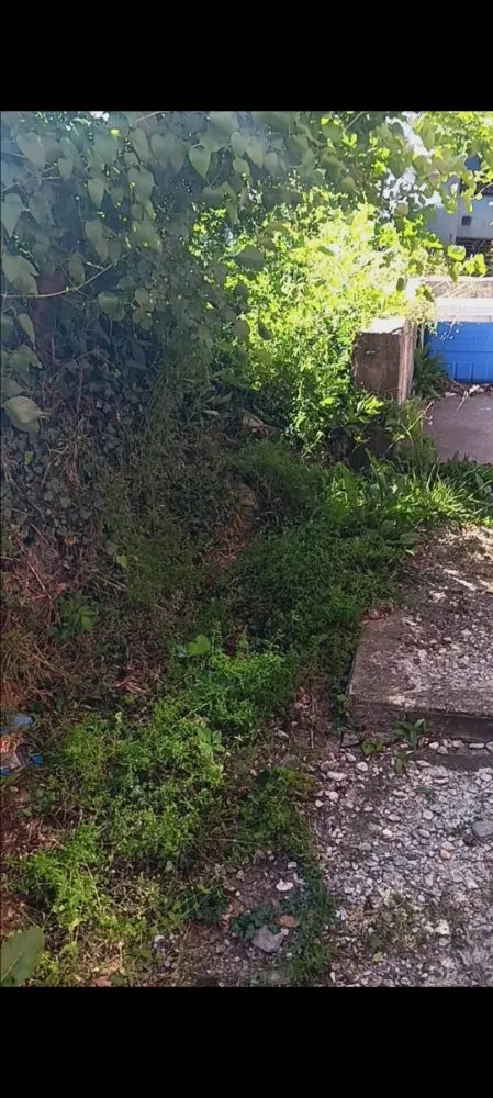 Professional lawn mowing service near you across Harrisburg, PA - God's Hair Landscaping