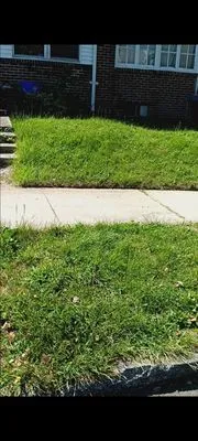 God's Hair Landscaping Logo