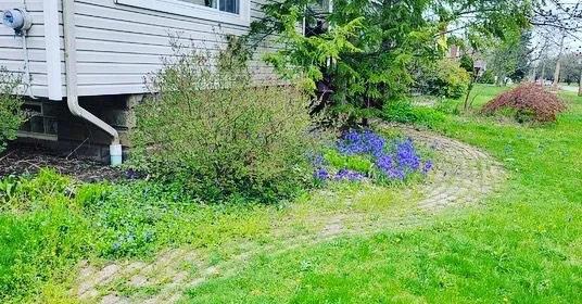 Professional outdoor landscaping in Cleveland, OH - God’s Hands Handyman