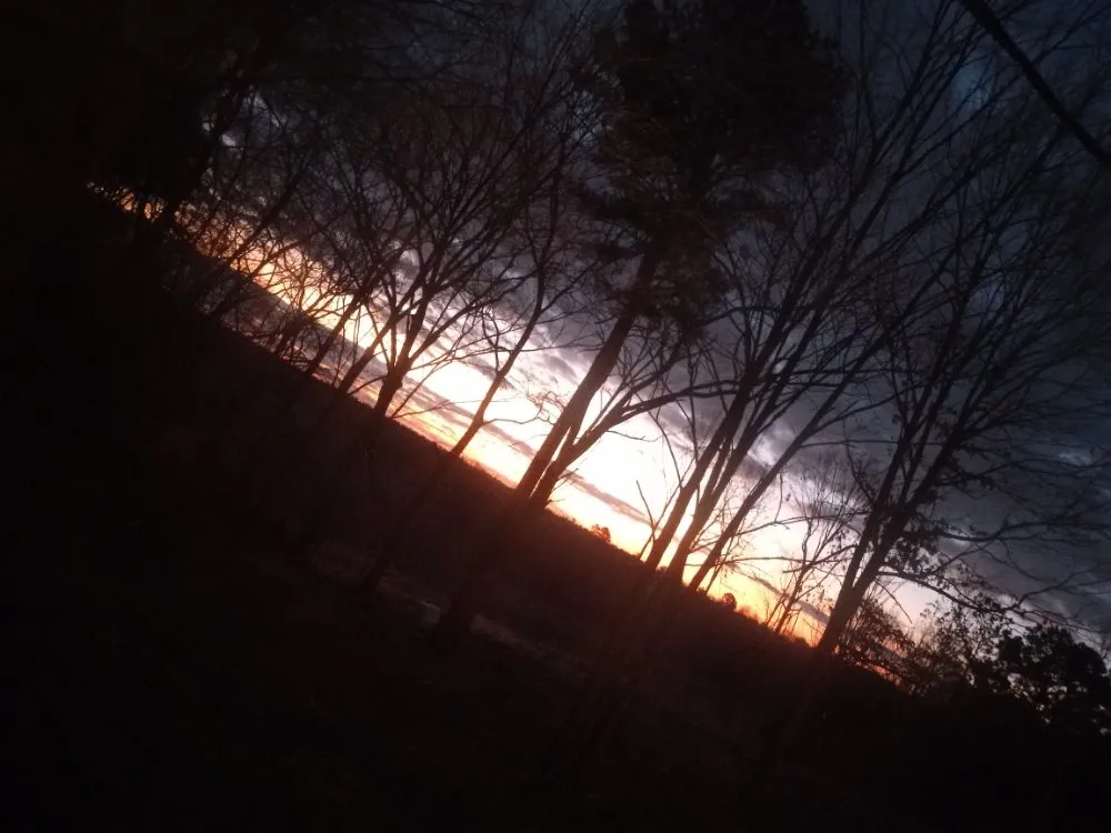 Expert yard cleanup service for outdoor upgrades across Selmer, TN - God's Hands Lawn Care