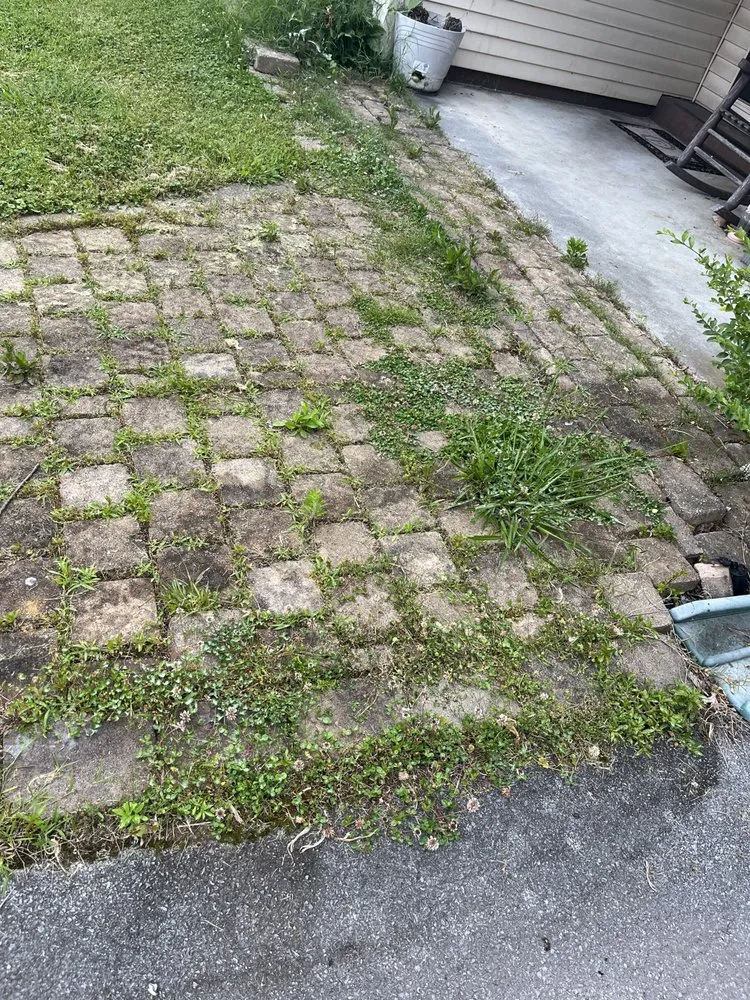 Expert residential landscaping in Bluff City, TN - God’s in Control Pressure Washing and Lawn Care