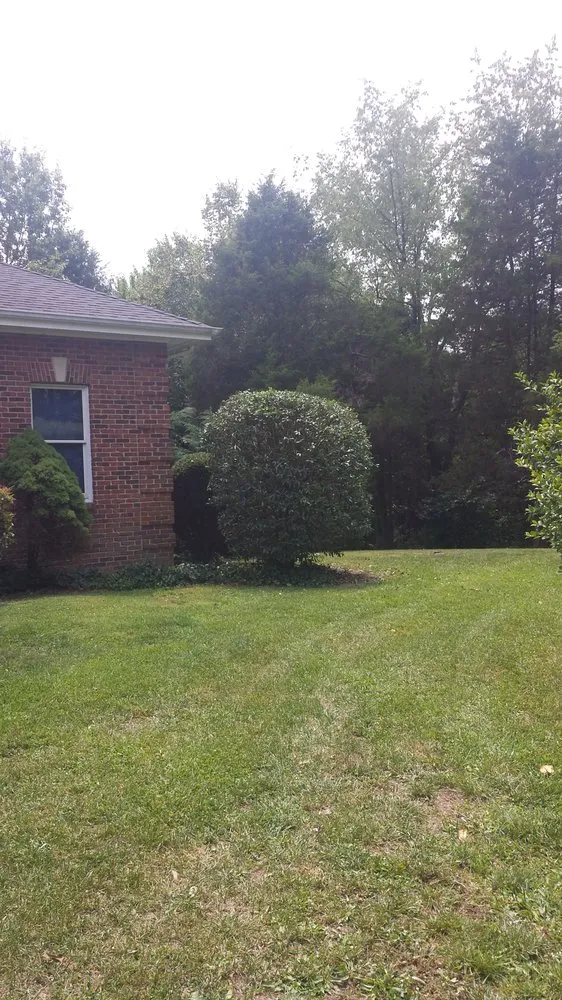 Professional residential landscaping in Bluff City, TN - God’s in Control Pressure Washing and Lawn Care