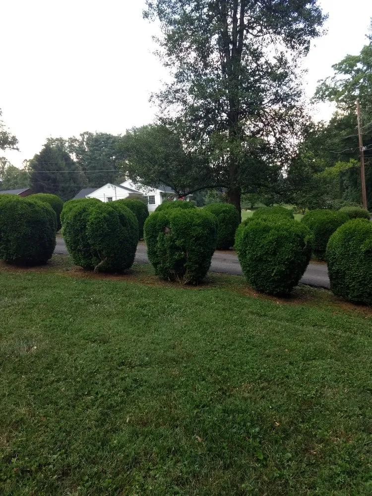 Custom landscaping services experts serving Bluff City, TN - God’s in Control Pressure Washing and Lawn Care