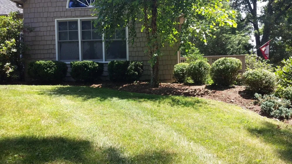 Reliable residential landscaping for beautiful yards across Bluff City, TN - God’s in Control Pressure Washing and Lawn Care