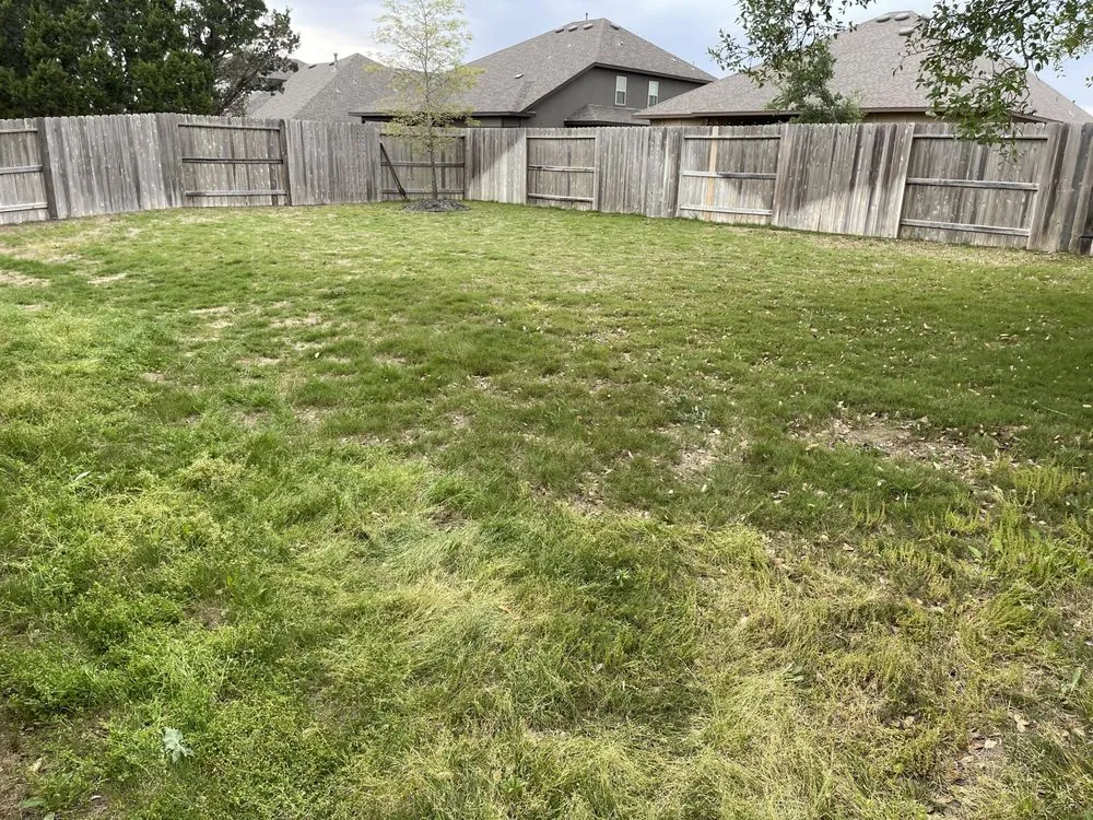 Professional lawn care service in San Antonio, TX - God’s Plan Lawn Services