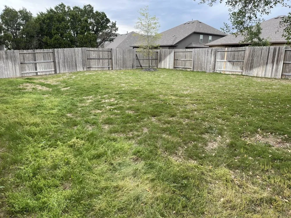 Top-rated residential landscaping in San Antonio, TX - God’s Plan Lawn Services