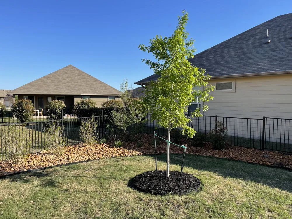 Professional lawn mowing service for outdoor upgrades across San Antonio, TX - God’s Plan Lawn Services