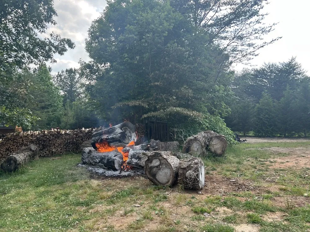 Custom lawn care service in Greensboro, NC - God's Way Tree Service