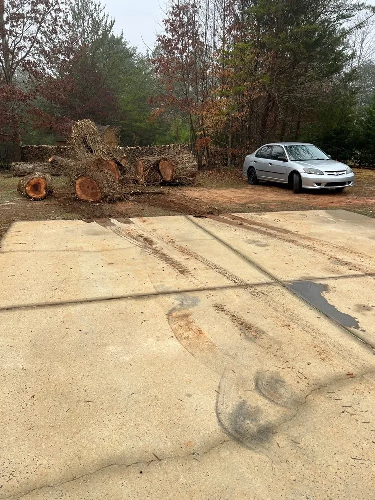 Expert lawn care service in Greensboro, NC by God's Way Tree Service