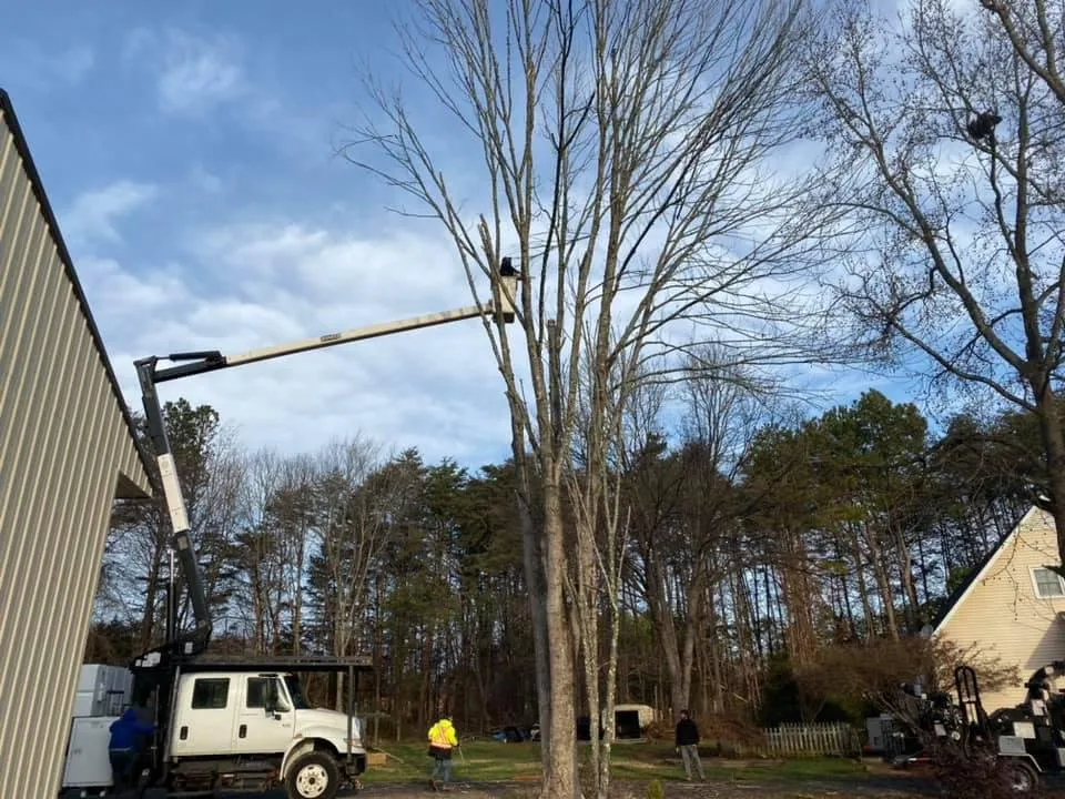 Affordable lawn care service for year-round maintenance in Greensboro, NC by God's Way Tree Service