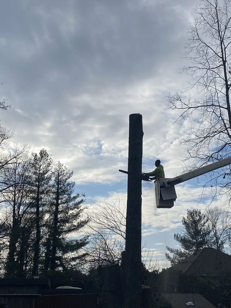 Reliable lawn mowing service for beautiful yards in Greensboro, NC by God's Way Tree Service