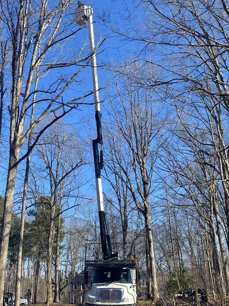 Custom yard cleanup service experts serving Greensboro, NC - God's Way Tree Service