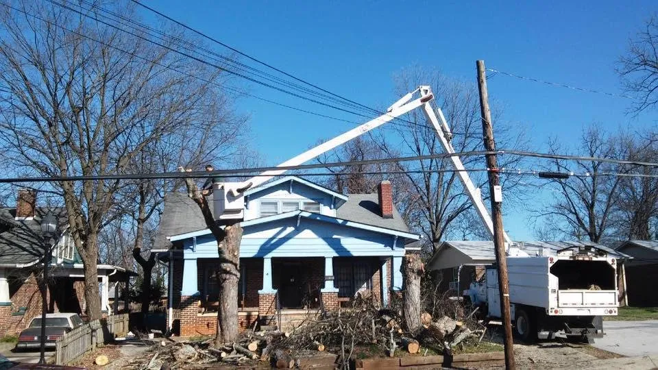 Top-rated landscape design near you across Greensboro, NC - God's Way Tree Service