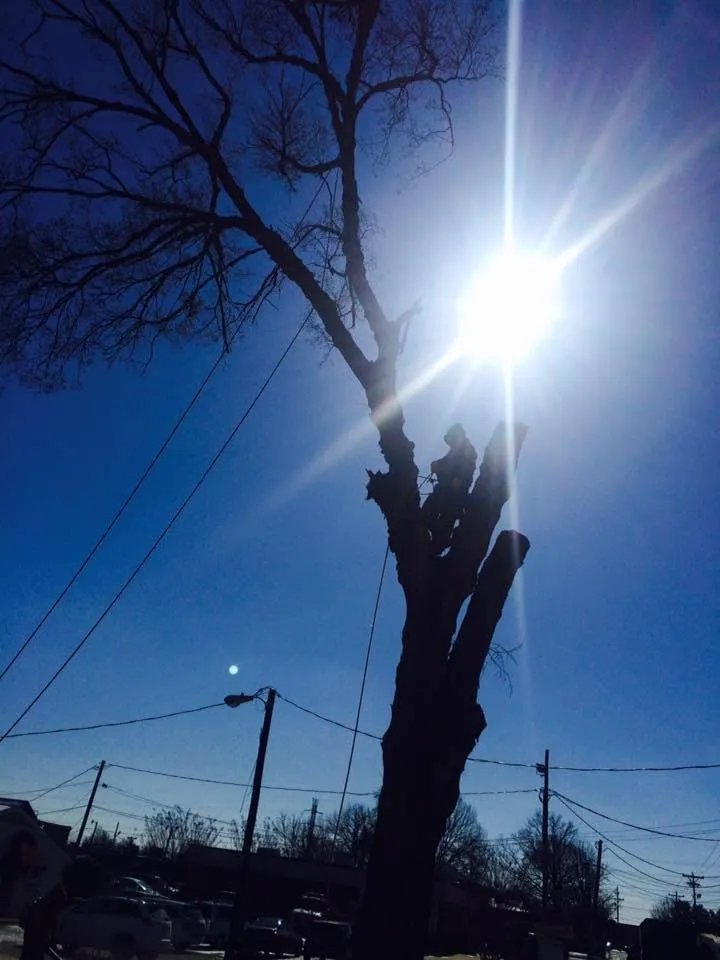 Custom lawn mowing service experts serving Greensboro, NC - God's Way Tree Service