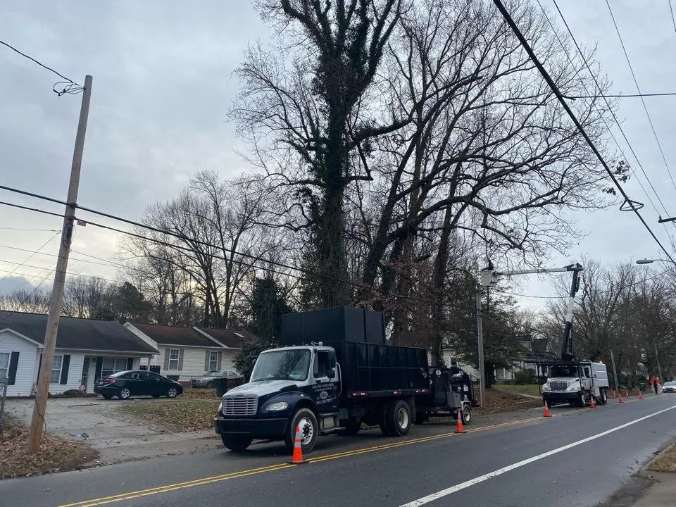 Affordable yard cleanup service for beautiful yards in Greensboro, NC by God's Way Tree Service
