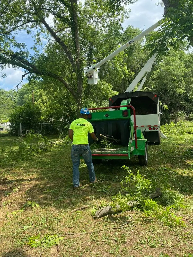 Reliable lawn care service in Gastonia, NC by Godspeed Tree and Landscape