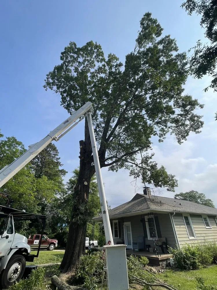 Affordable yard maintenance in Gastonia, NC by Godspeed Tree and Landscape