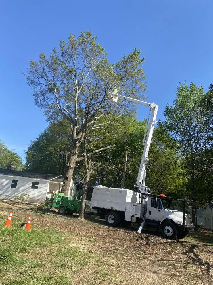 Reliable yard cleanup service for homes across Gastonia, NC - Godspeed Tree and Landscape