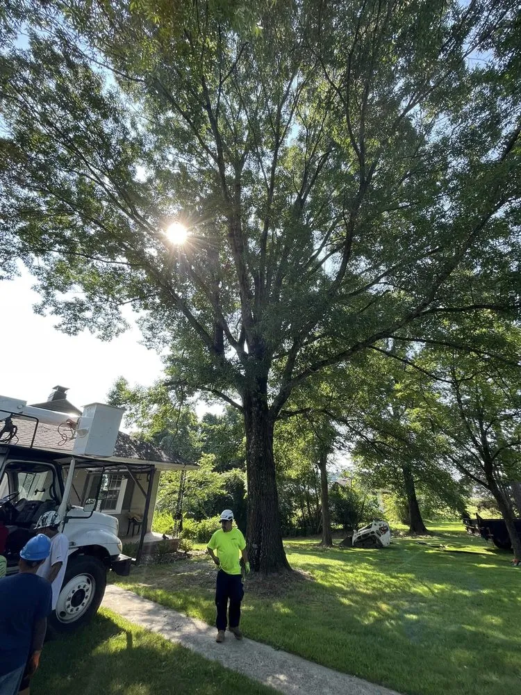 Custom landscape design in Gastonia, NC by Godspeed Tree and Landscape