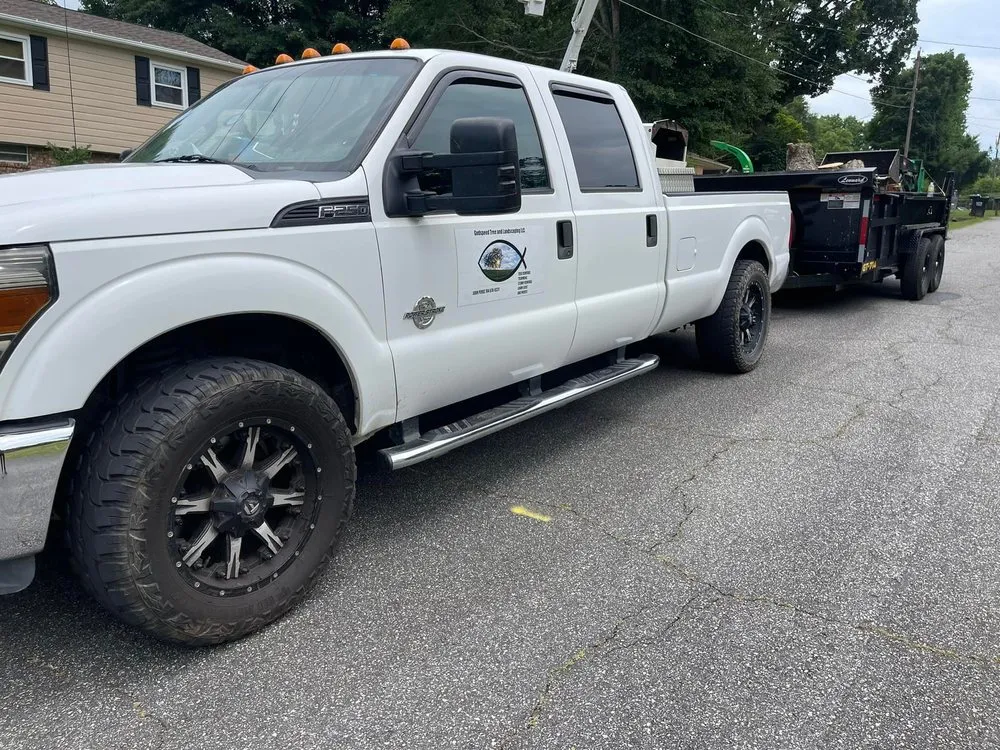 Reliable lawn care service in Gastonia, NC - Godspeed Tree and Landscape