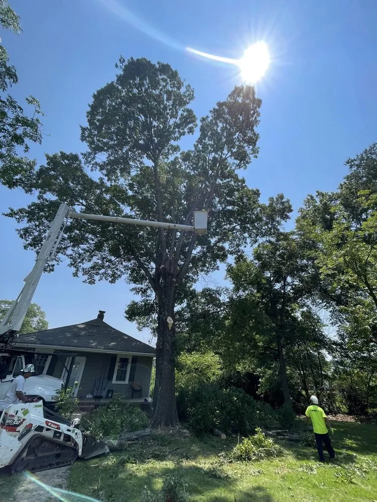 Reliable lawn care service in Gastonia, NC by Godspeed Tree and Landscape