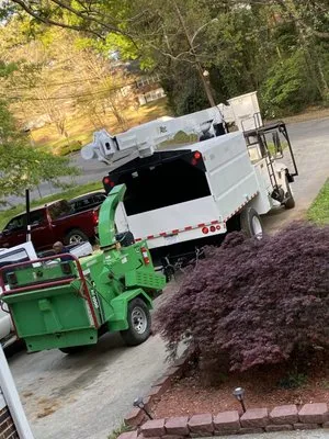 Godspeed Tree and Landscape Logo